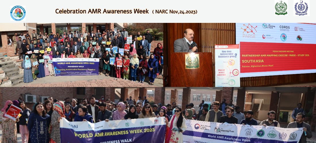 Celebration AMR Awareness Week Nov, 24, 2023 NARC Islamabad