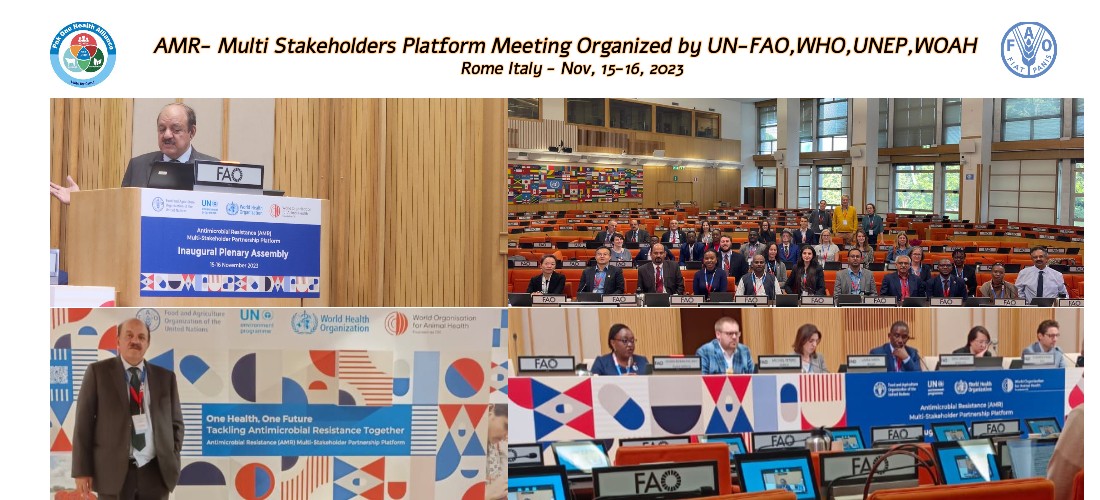 AMR- Multi stakeholder Platform Meeting organized by UN-FAO /WHO& UNEP at Rome Italy – Nov, 15-16, 2023.